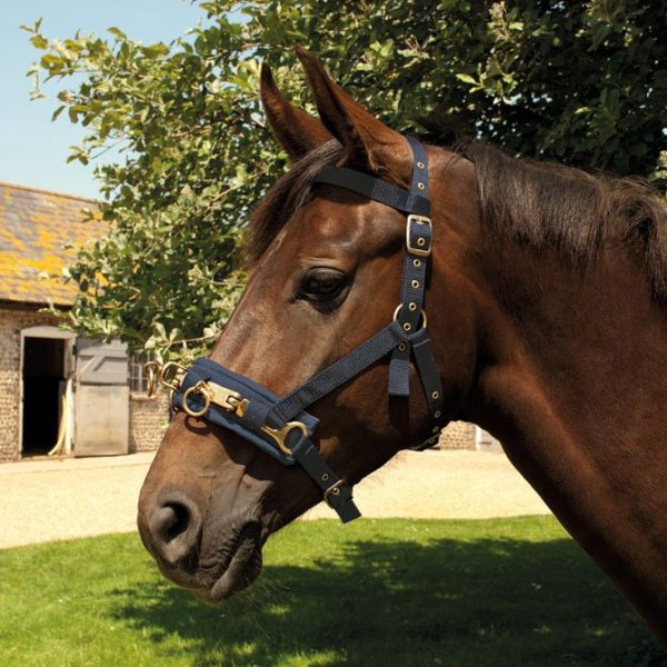 Horsewear