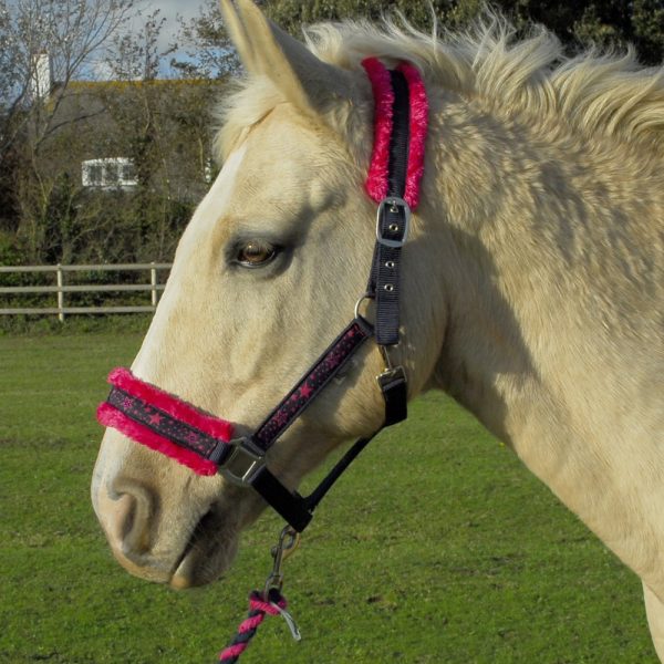 Headcollars and Leads