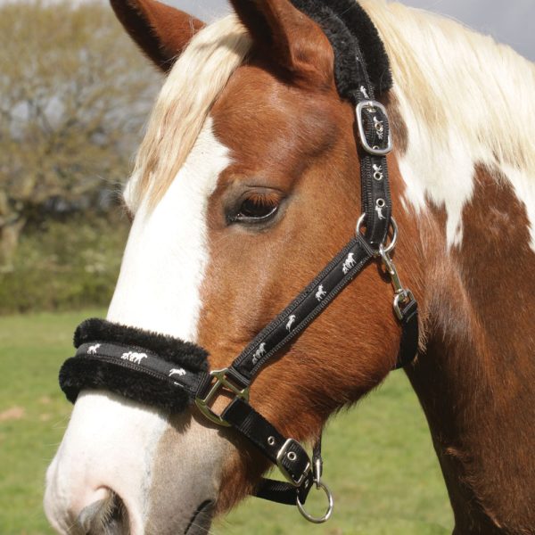 Headcollars and Leads