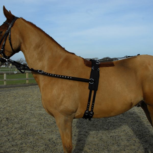 Horsewear