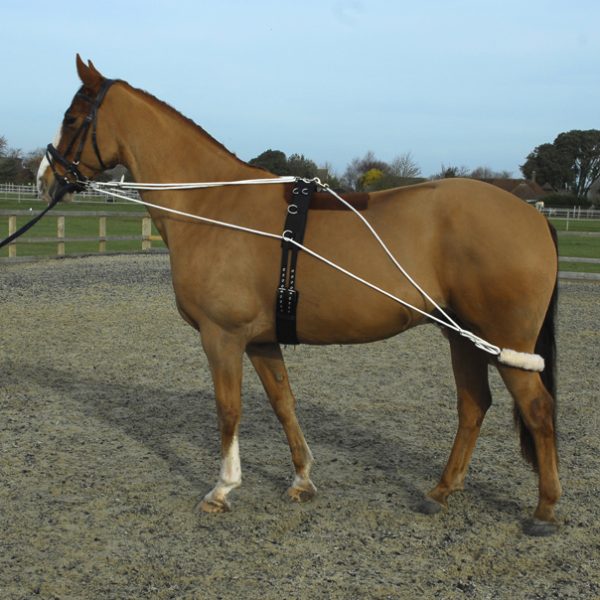 Horsewear