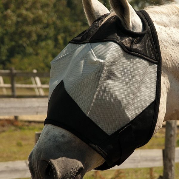 Fly Masks and Fringes