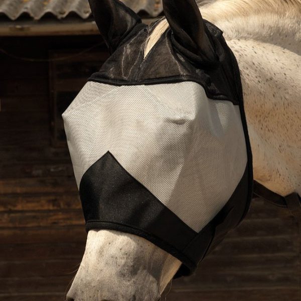 Fly Masks and Fringes