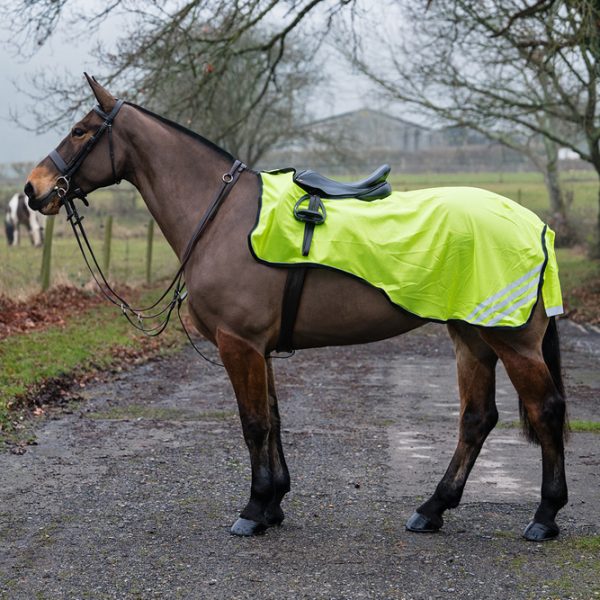 Ride On Rugs