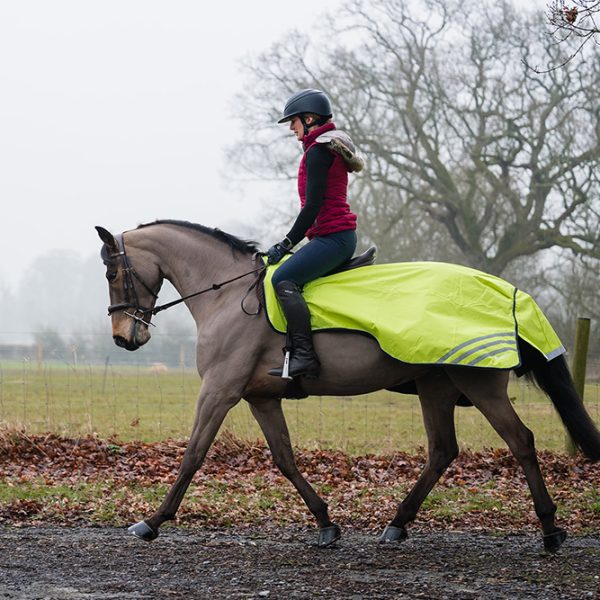 Ride On Rugs
