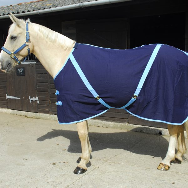 Summer Sheet