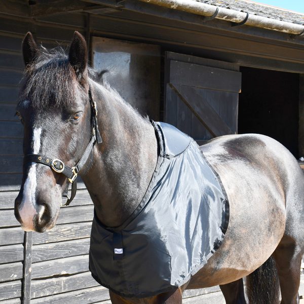 Lycra Neck Covers