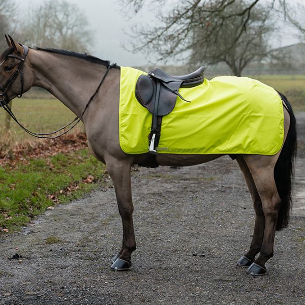 Ride On Rugs