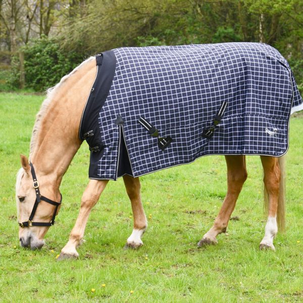 Outdoor Rugs