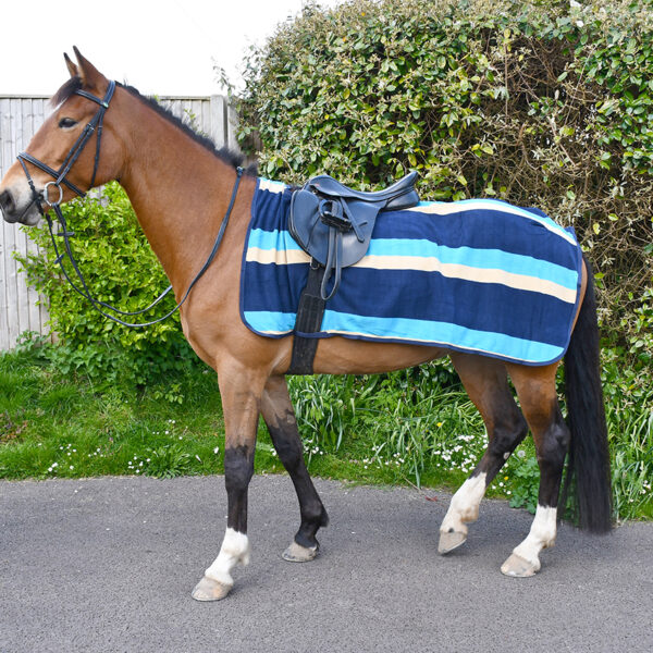 Ride On Rugs