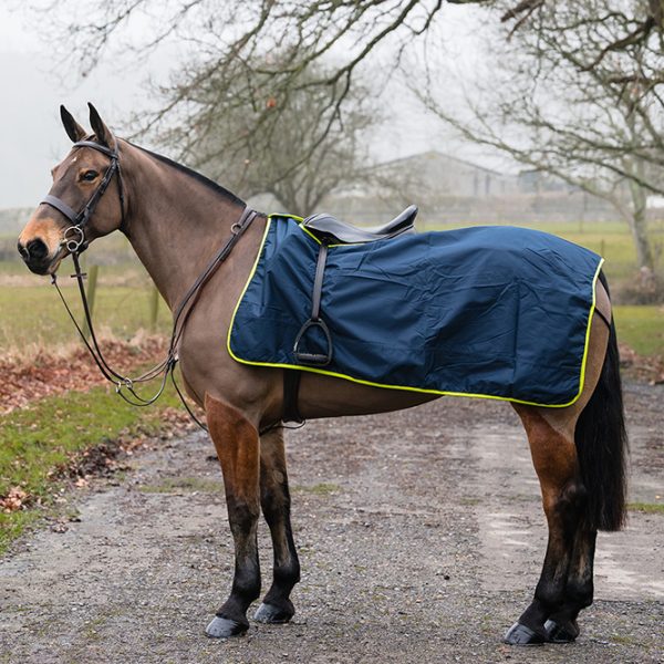 Ride On Rugs