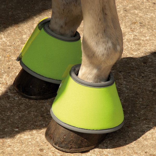 Legwear and Bandages