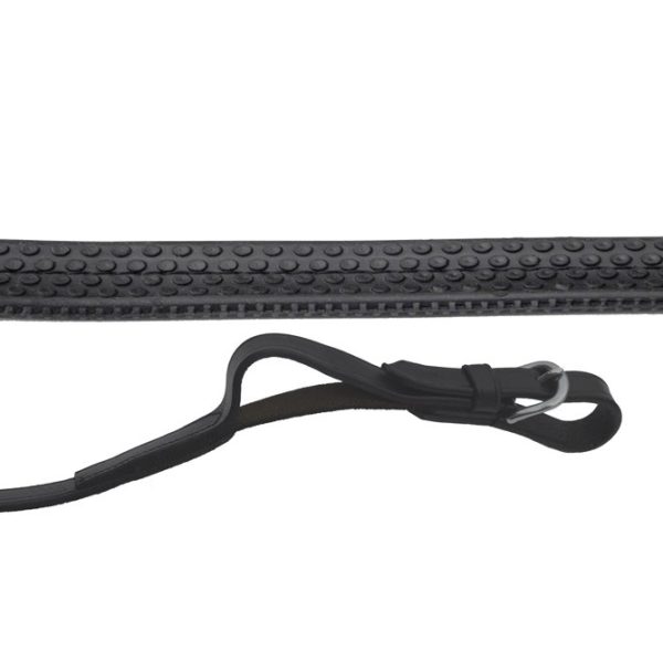 Reins