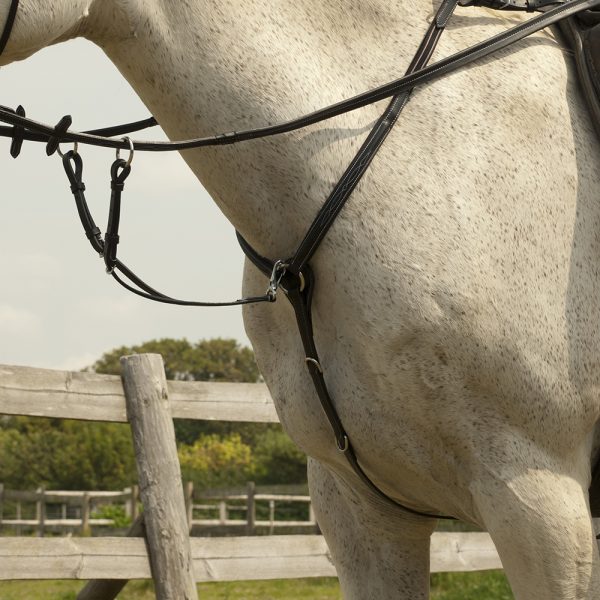 Martingales and Breastplates