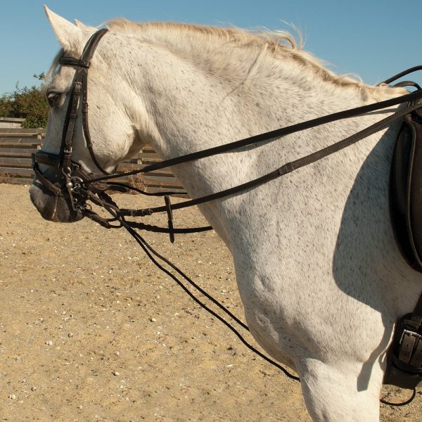 Martingales and Breastplates