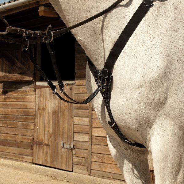 Martingales and Breastplates