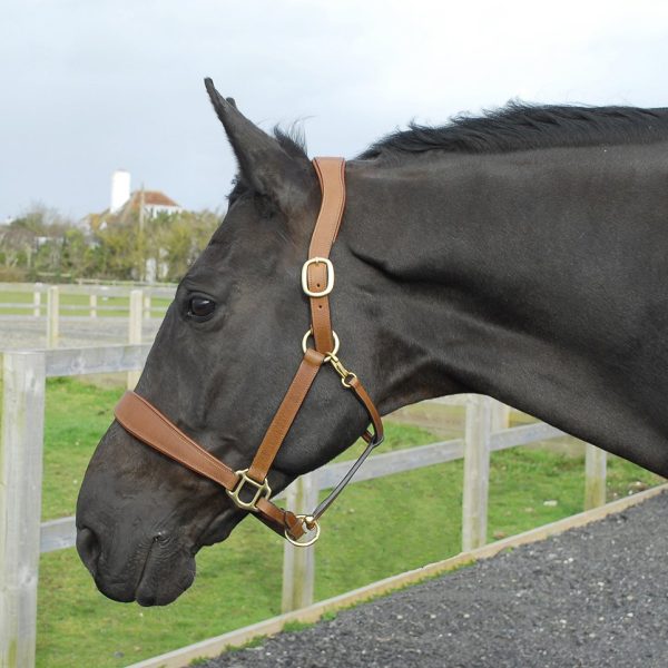 Leather Headcollars
