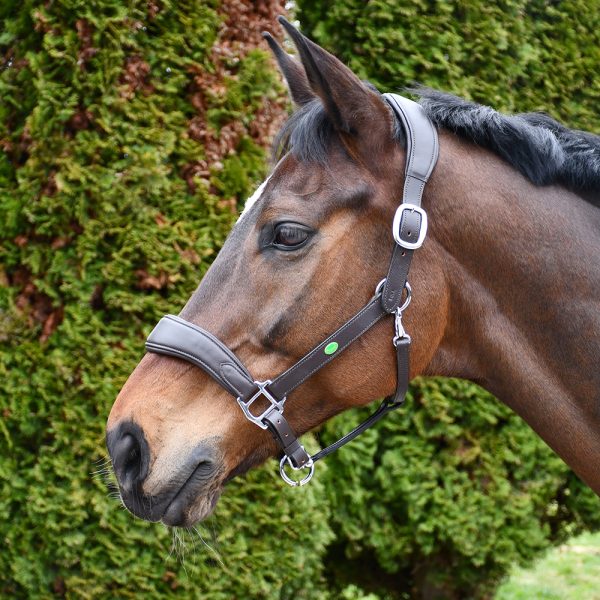Leather Headcollars