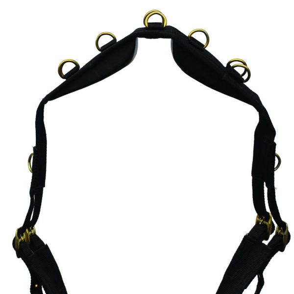 Lunge Wear and Training Aids