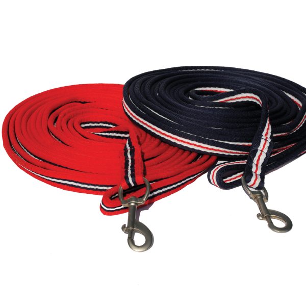 Lunge Wear and Training Aids
