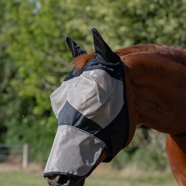 Fly Masks and Fringes