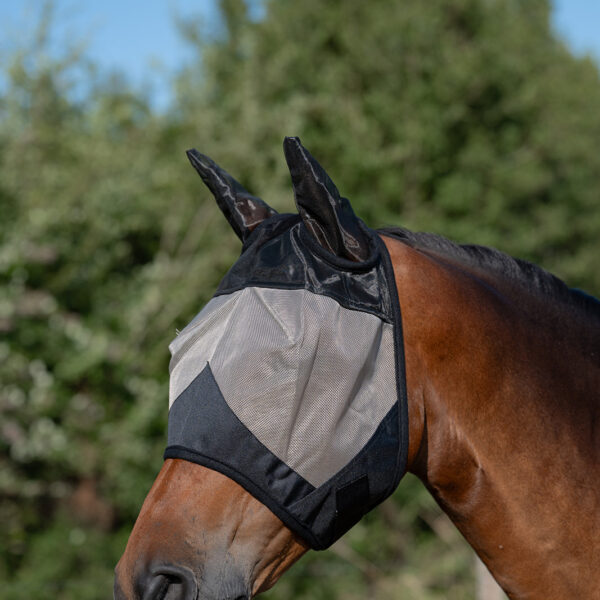 Fly Masks and Fringes