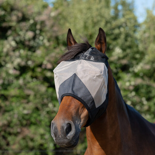 Fly Masks and Fringes