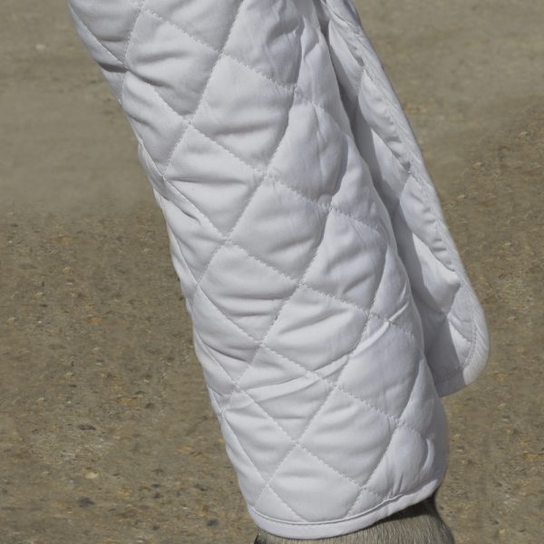 Legwear and Bandages