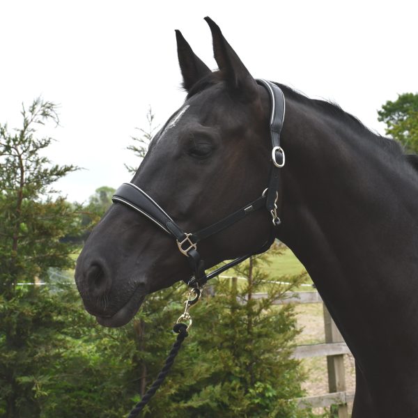 Rocco Leatherwork