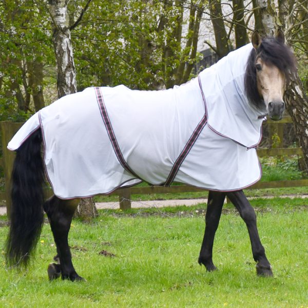 Fly Rugs