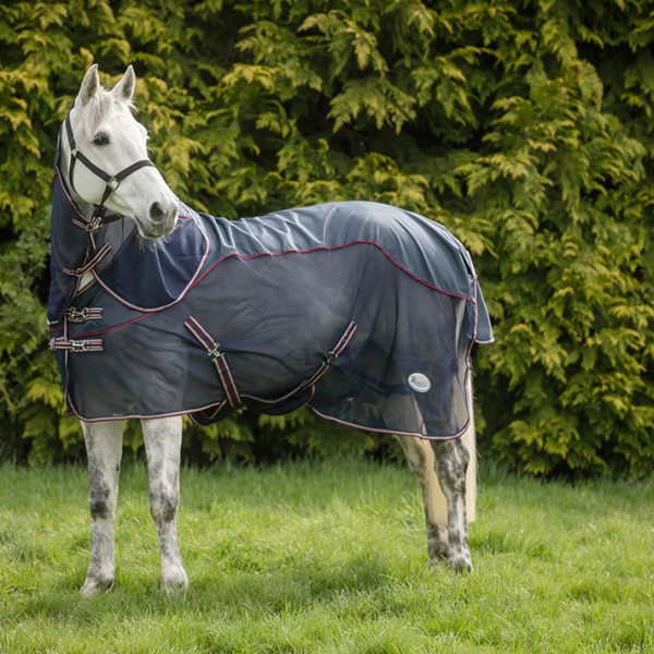Fly Rugs