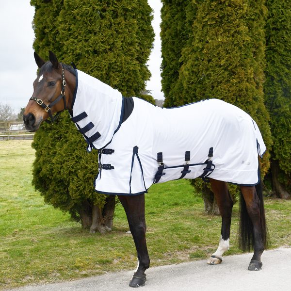 Fly Rugs