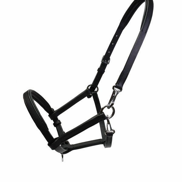 Leather Headcollars