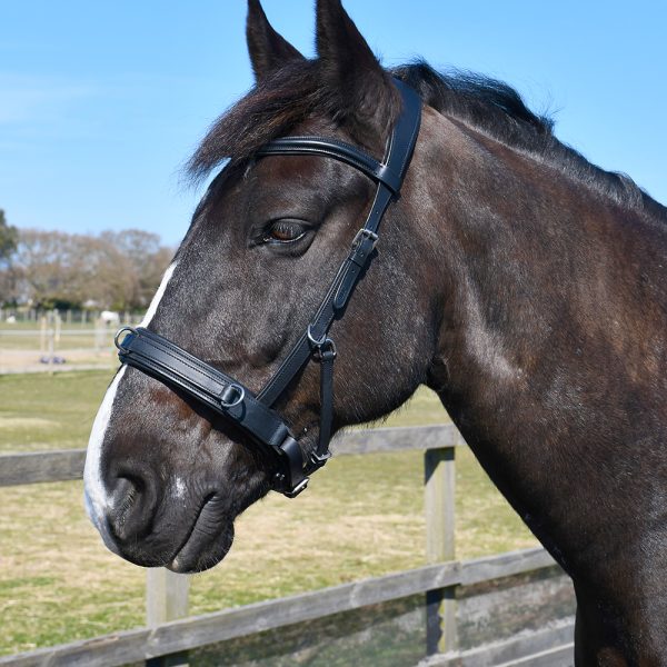 Horsewear