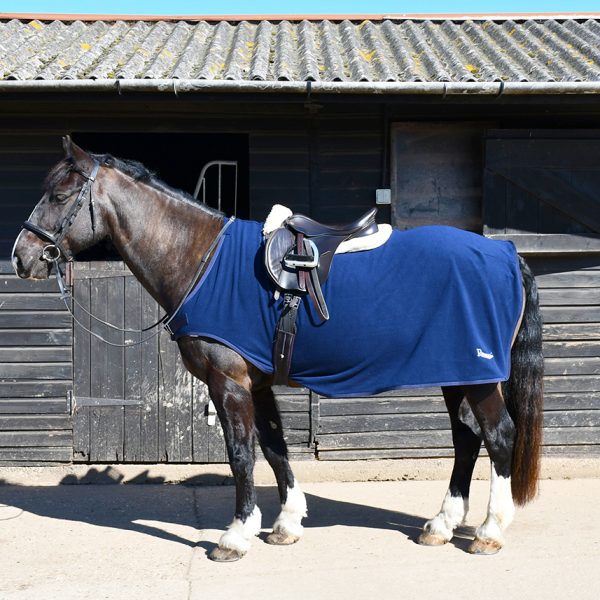 Ride On Rugs