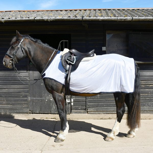 Ride On Rugs