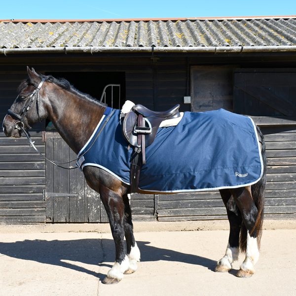 Ride On Rugs