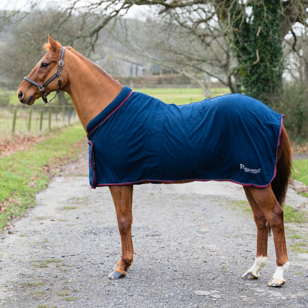 Horse Clothing