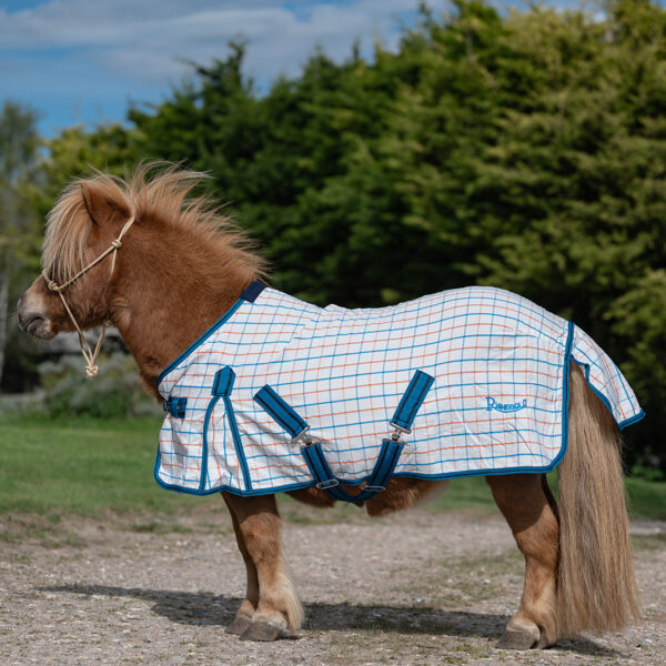 Summer Sheet