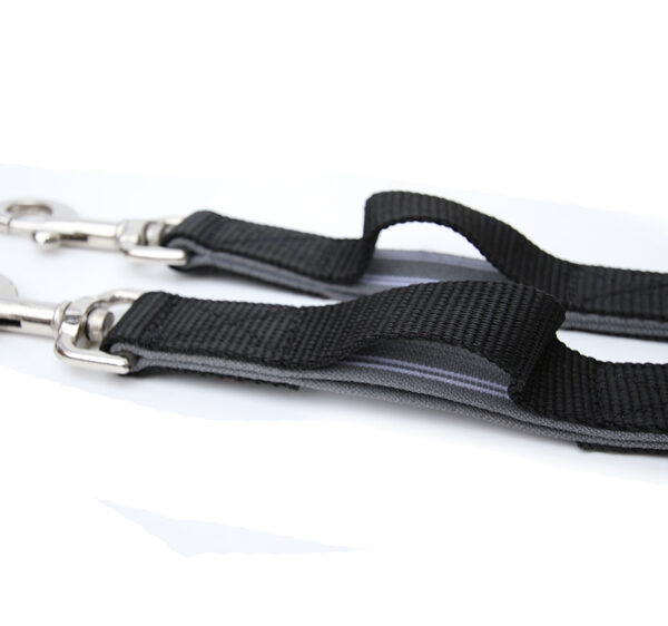 Lunge Wear and Training Aids